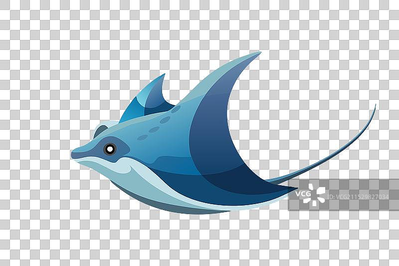 白色背景下的水下牛鼻魟鱼图片素材