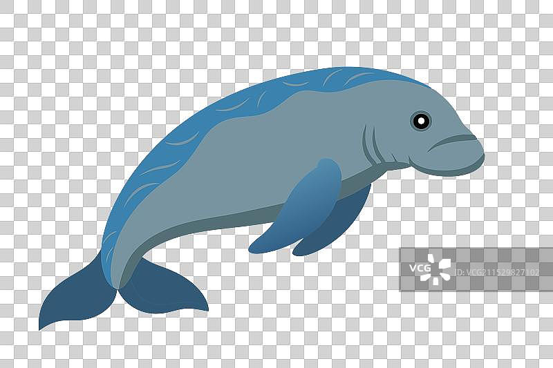 海牛在水下，白色背景上的平面图像图片素材