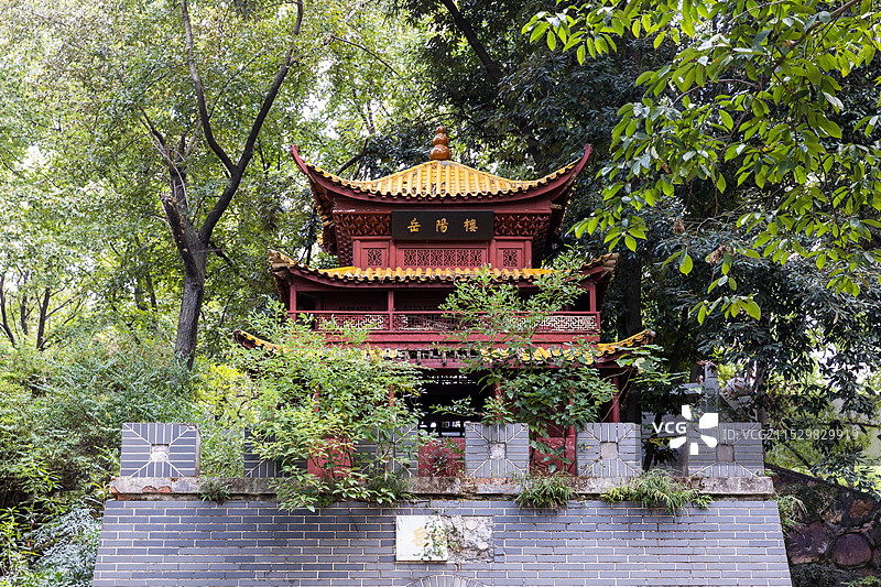 长沙湖南省森林植物园图片素材