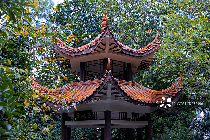 长沙湖南省森林植物园图片素材