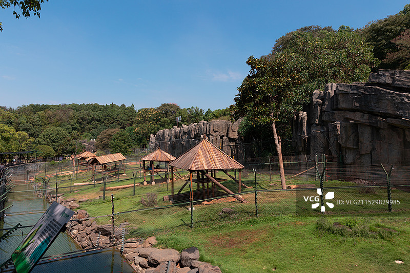 长沙生态动物园图片素材