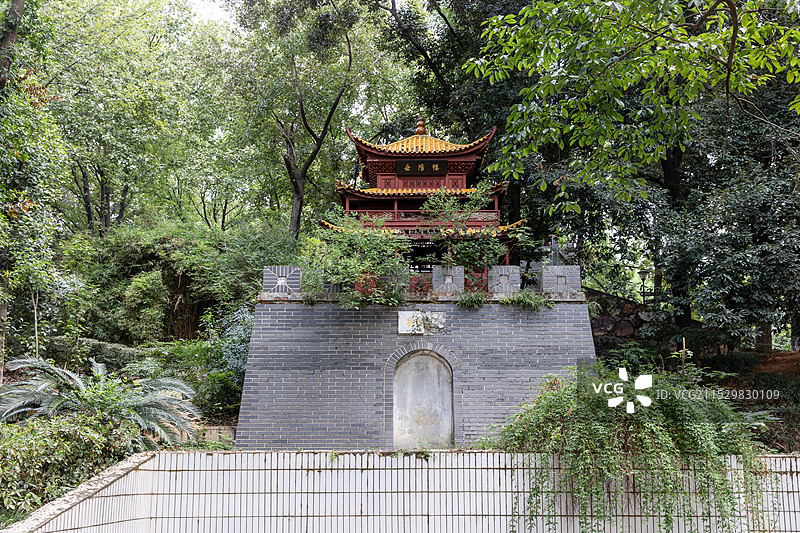 长沙湖南省森林植物园图片素材