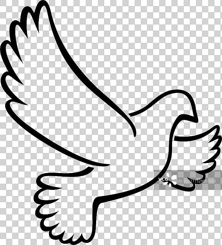 美丽的白色飞翔和平鸽轮廓图片素材