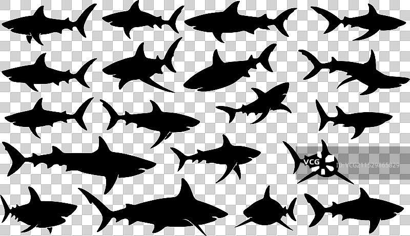 一组黑色鲨鱼剪影图片素材