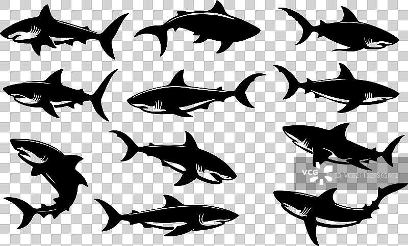 一组黑色鲨鱼剪影图片素材