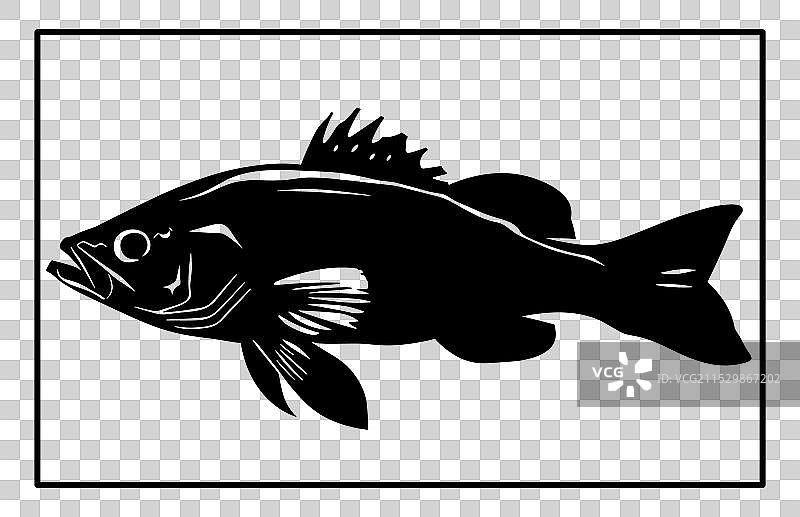 河流鳕鱼轮廓图片素材