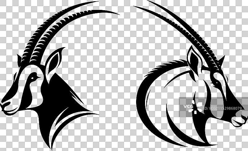 白色背景上的羚羊头部标志设计2图片素材