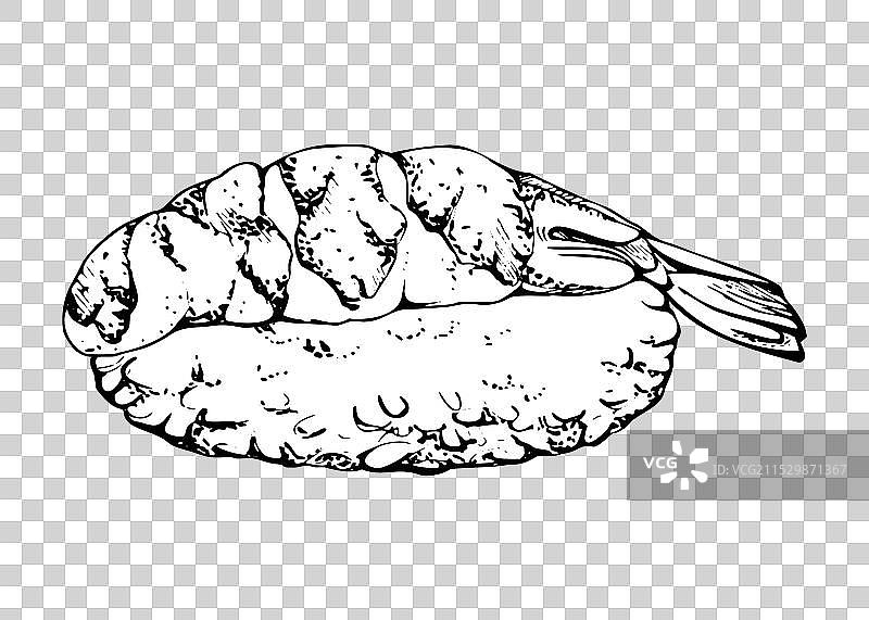 传统日本料理握寿司生虾图片素材