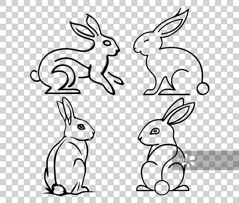 兔子的轮廓图片素材