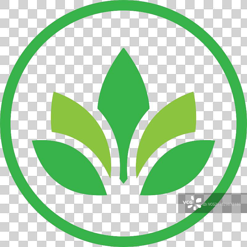 水 lily 标志设计模板图片素材