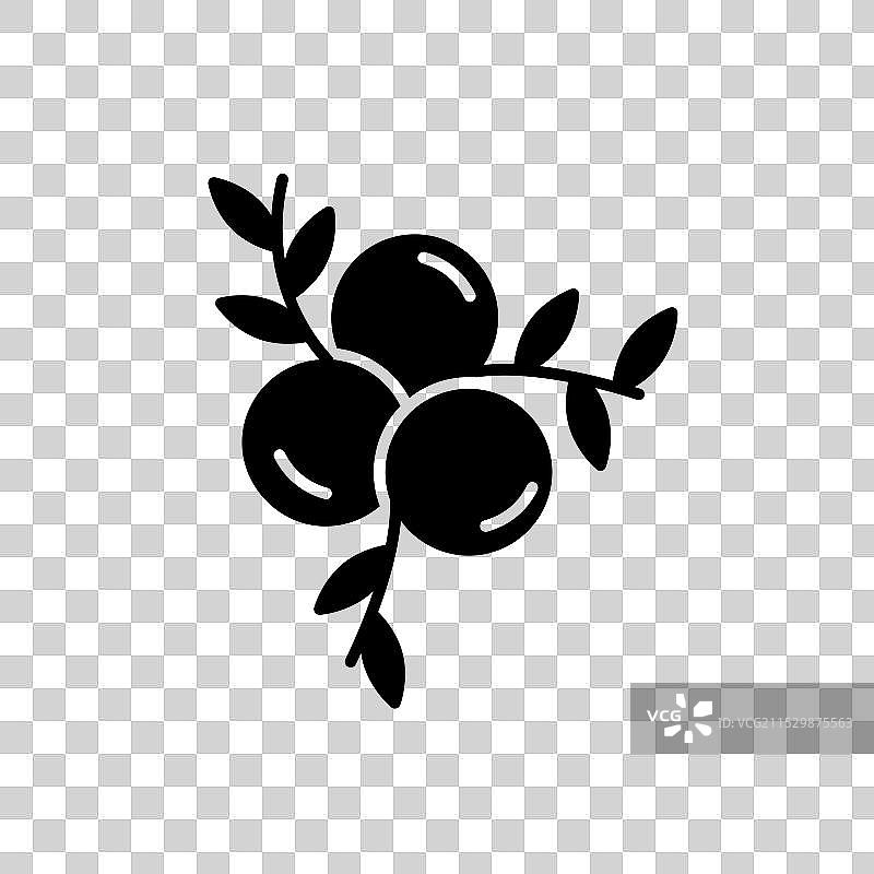 杜松图标集，浆果，杜松子酒，蓝莓符号图片素材