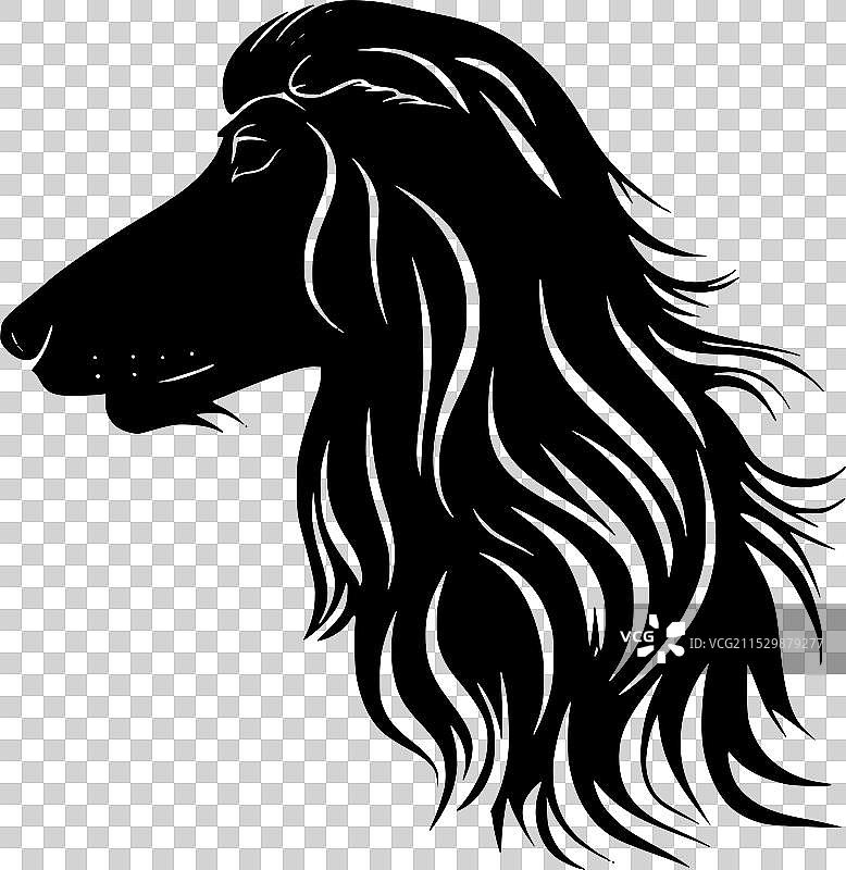 阿富汗猎犬 - 极简风格的平面logo图片素材