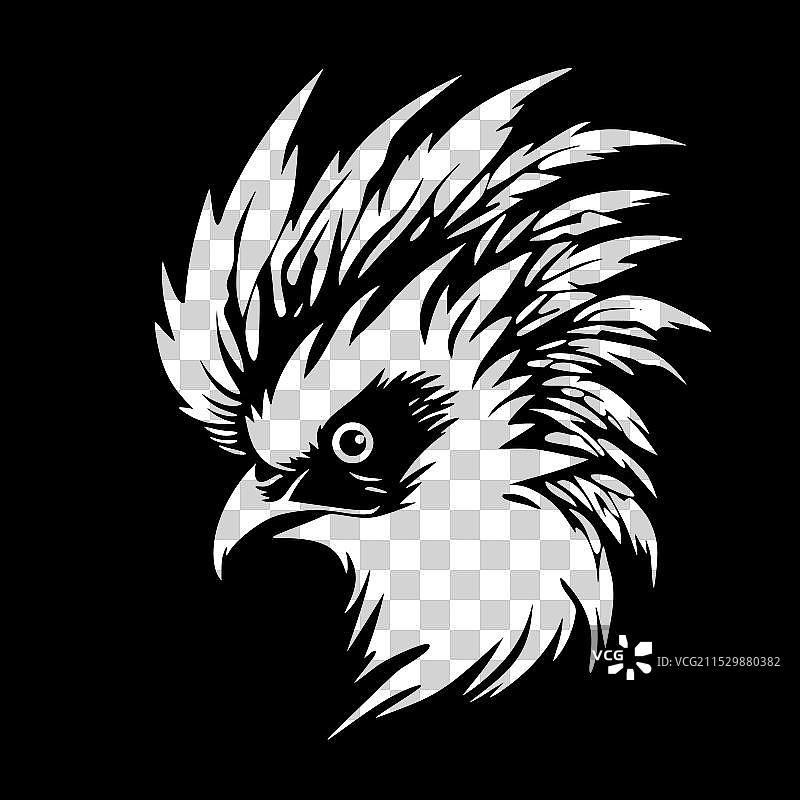 黑白孤立的鹦鹉图标图片素材