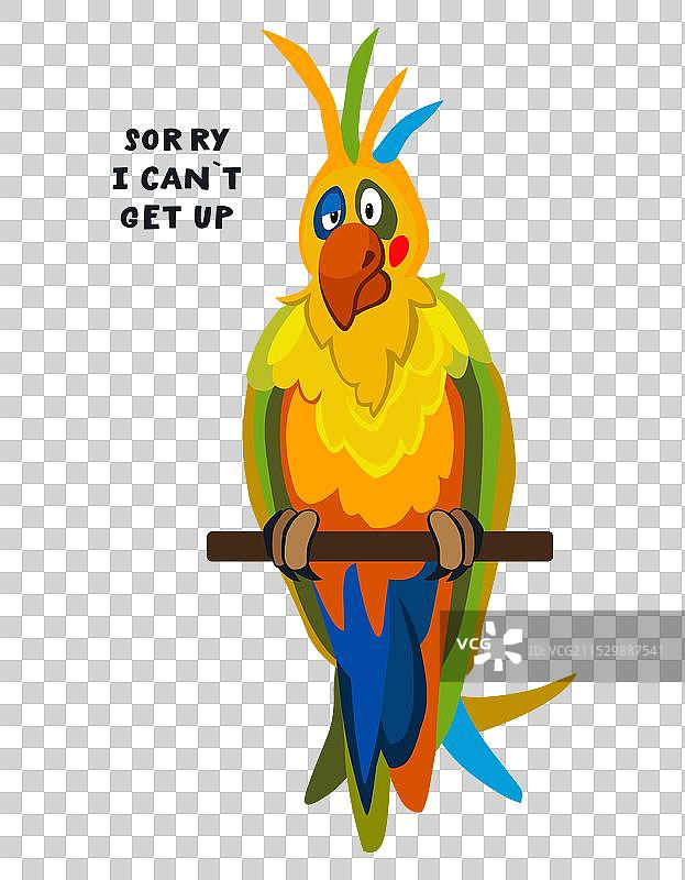 孤立的卡通蓝金刚鹦鹉图片素材