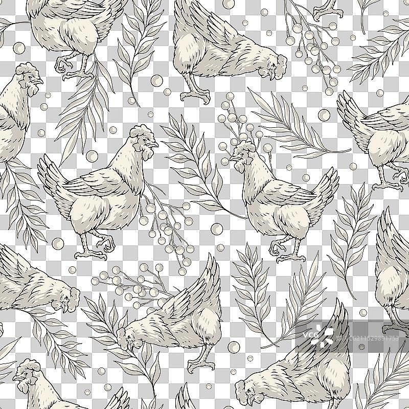 家禽鸡的无缝单色图案图片素材