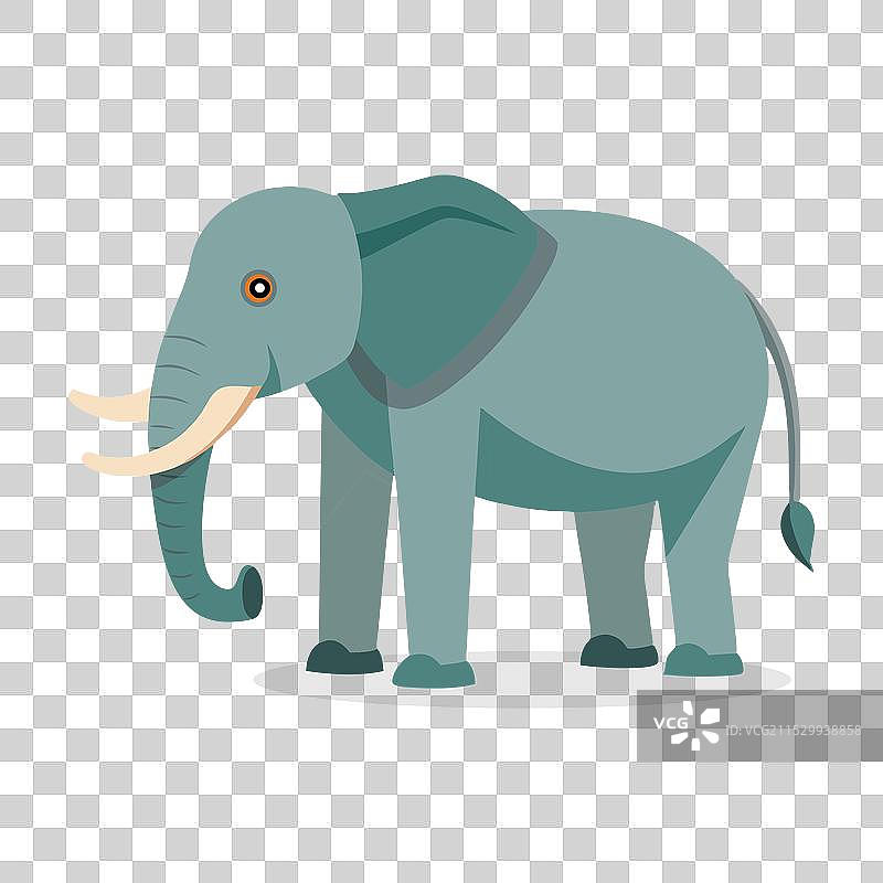 森林大象动物孤立在白色背景上图片素材