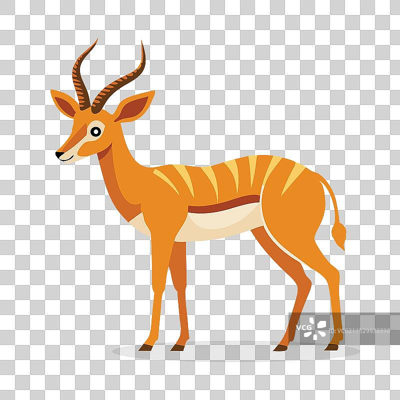 孤立在白色背景上的羚羊动物图片素材