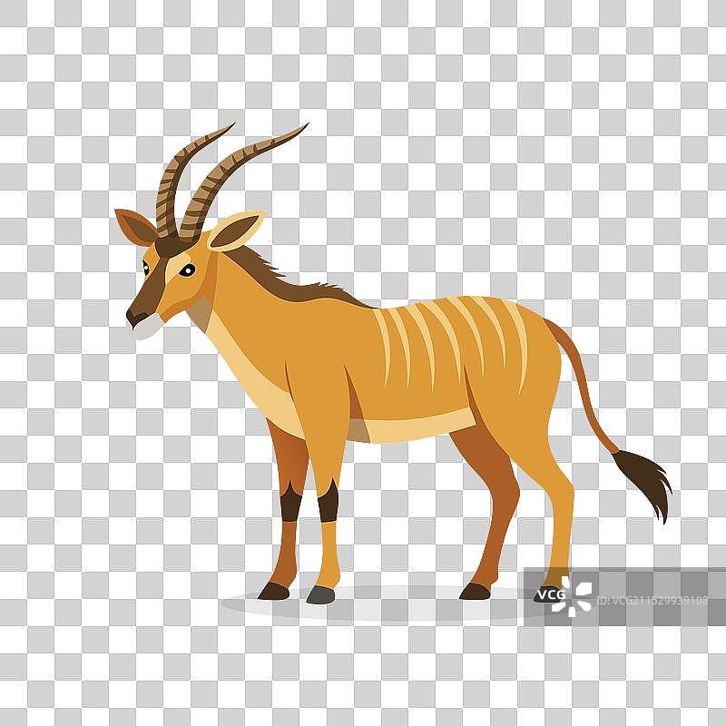 孤立在白色背景上的羚羊动物图片素材