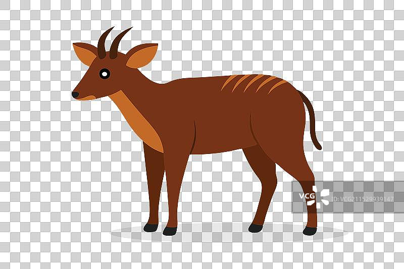 孤立在白色背景上的水羚动物图片素材