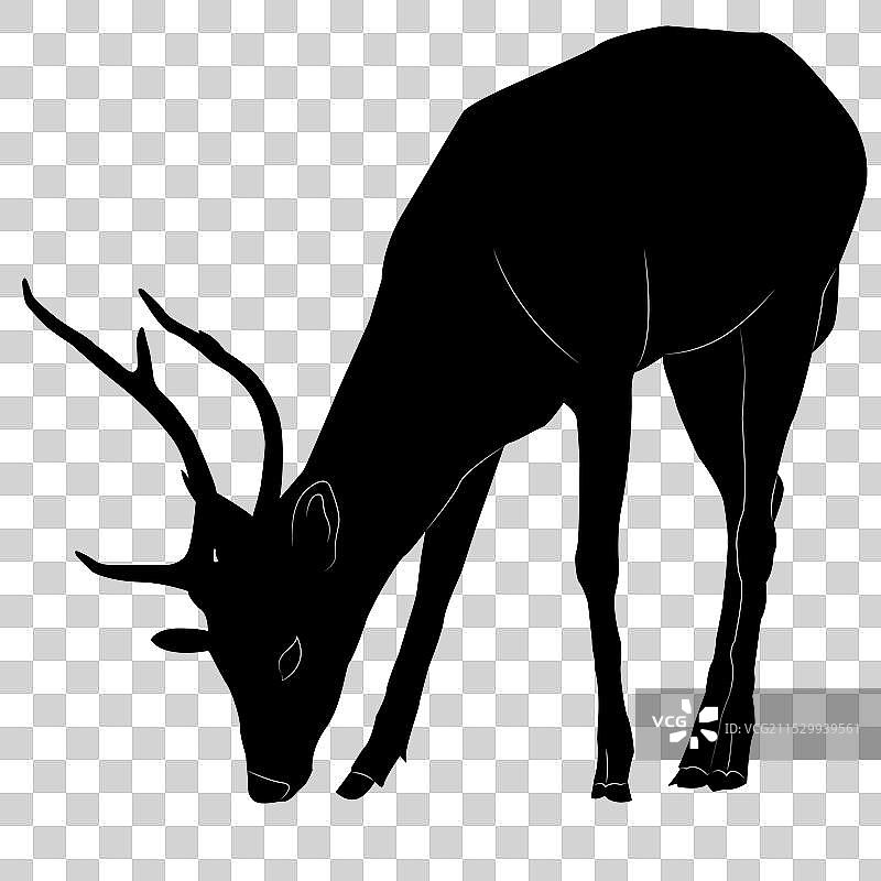 黑色轮廓的鹿在吃草图片素材