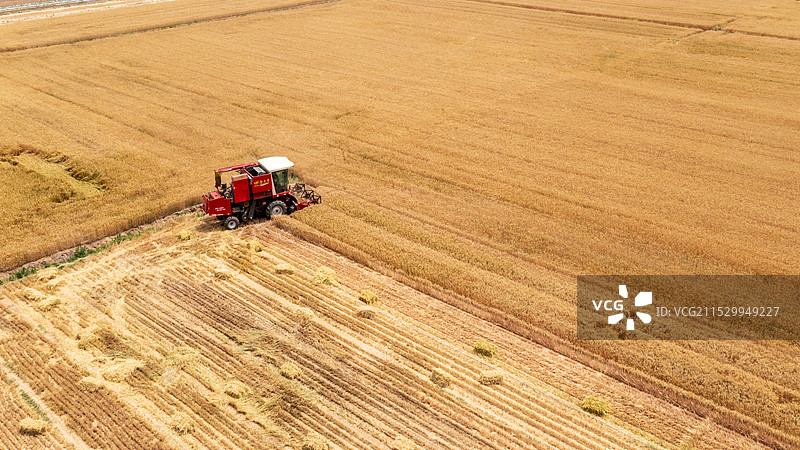 麦收季节图片素材