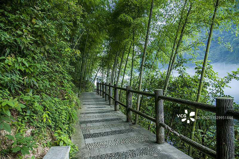 湖南郴州市资兴小东江边晨曦中竹的林小道图片素材