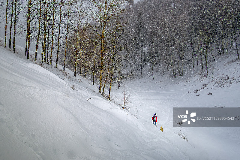 雪中行图片素材