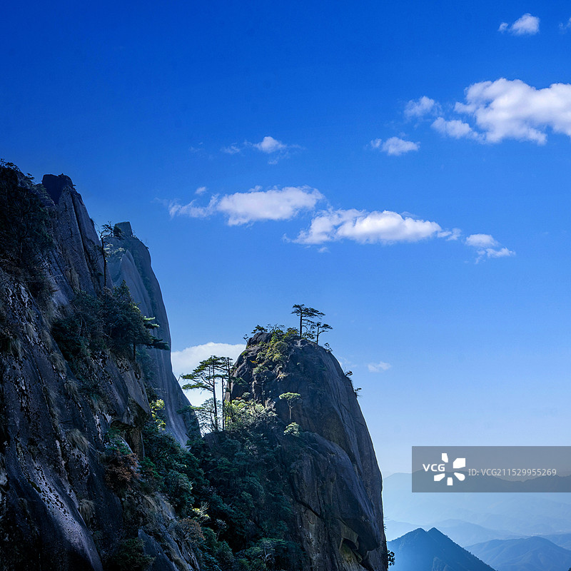江西上饶三清山南清园《神龙戏松》图片素材