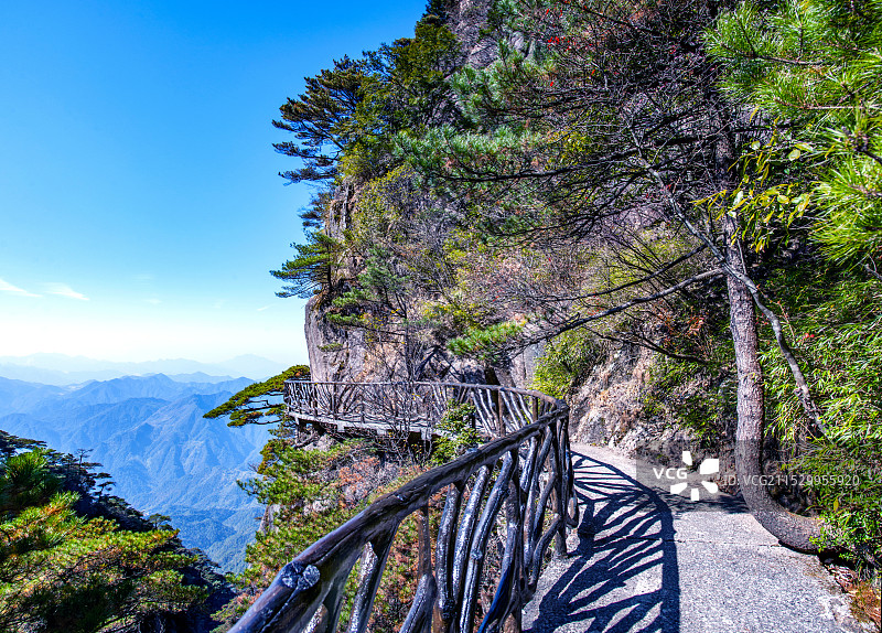 江西上饶三清山西海岸群山中的台湾松松林栈道图片素材