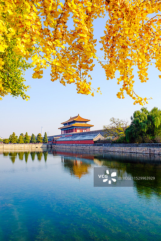 北京故宫神武门秋色图片素材
