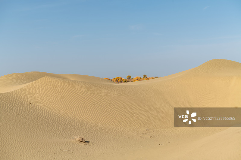 罗布淖尔国家湿地公园里的沙漠图片素材