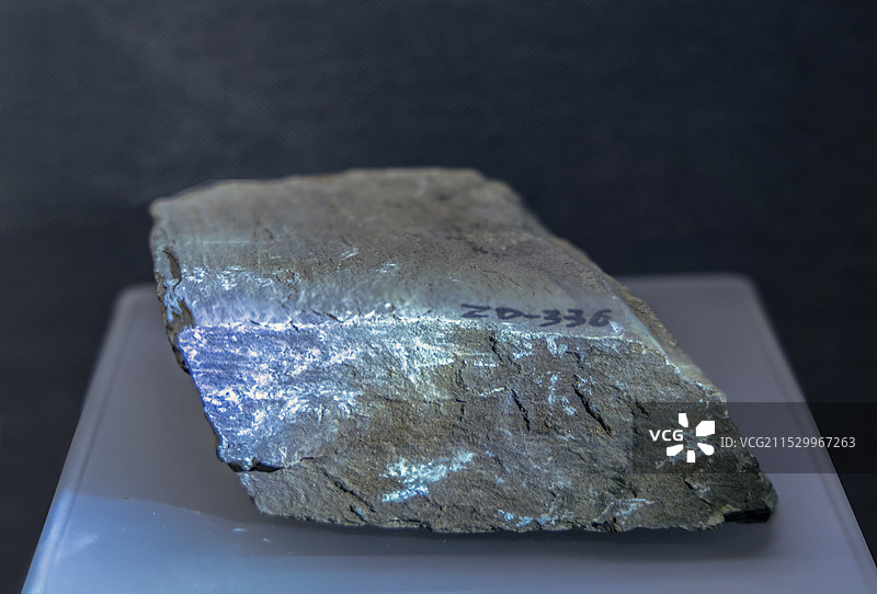 安徽省地质博物馆地球厅：千枚岩（浙江诸暨产）图片素材