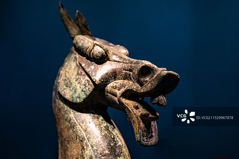 广西壮族自治区博物馆大铜马头部特写图片素材