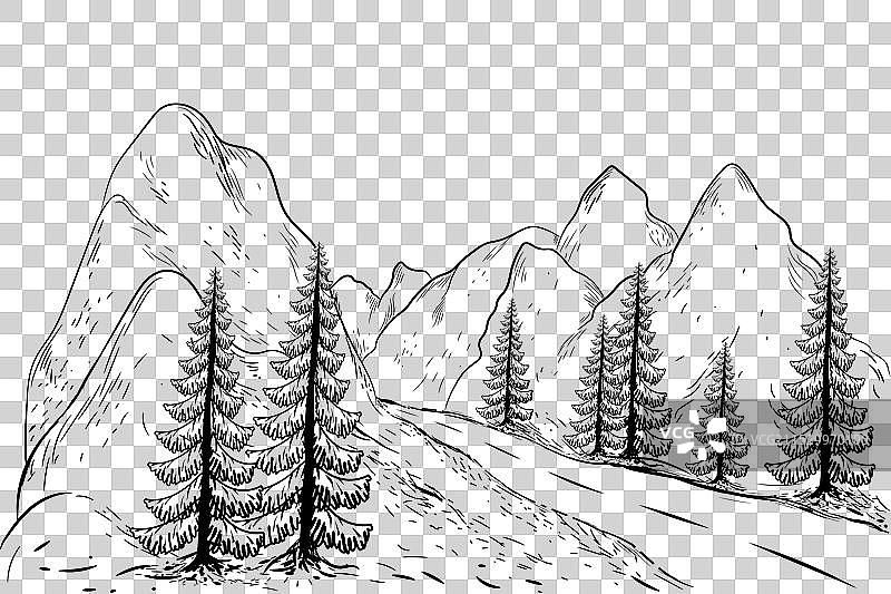 松树环绕的山路风景图片素材