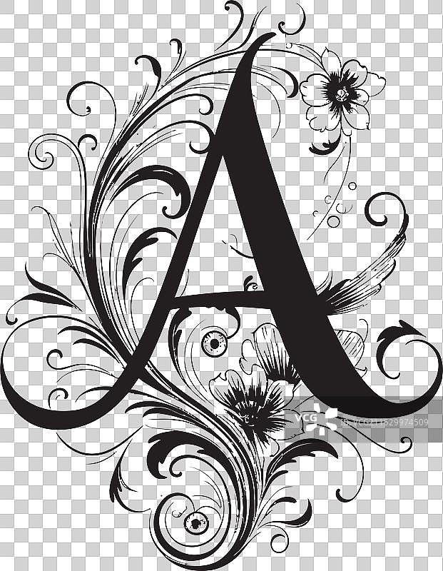 字母重音字体，艺术，充足的优雅图片素材