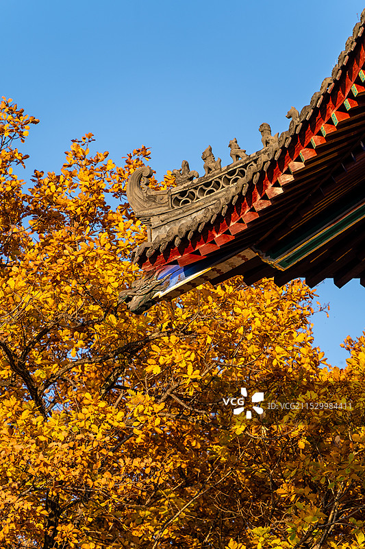深秋时节药泉山风景区的钟灵寺图片素材