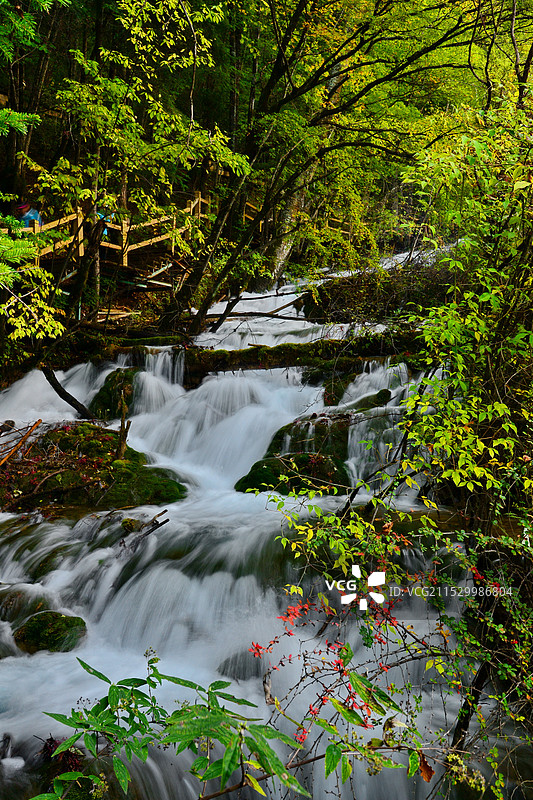 秋天的森林和瀑布风光，四川西部九寨沟，人间天堂图片素材
