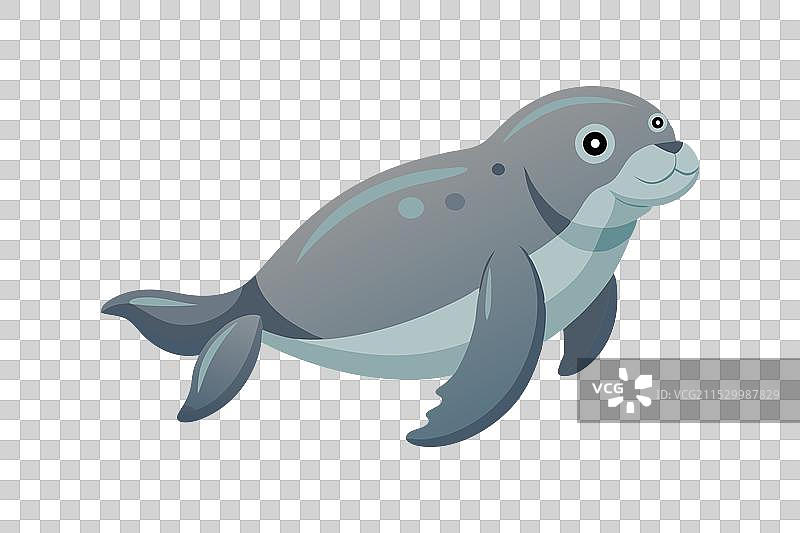 水下的扁平海象图片素材