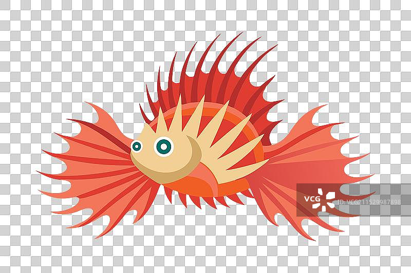 水下扁平的扇虫动物图片素材