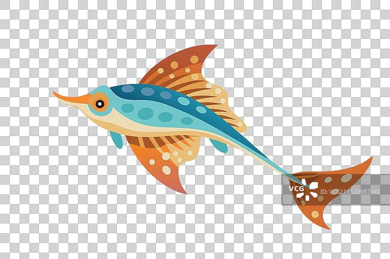 水下平坦的飞鳗鱼图片素材