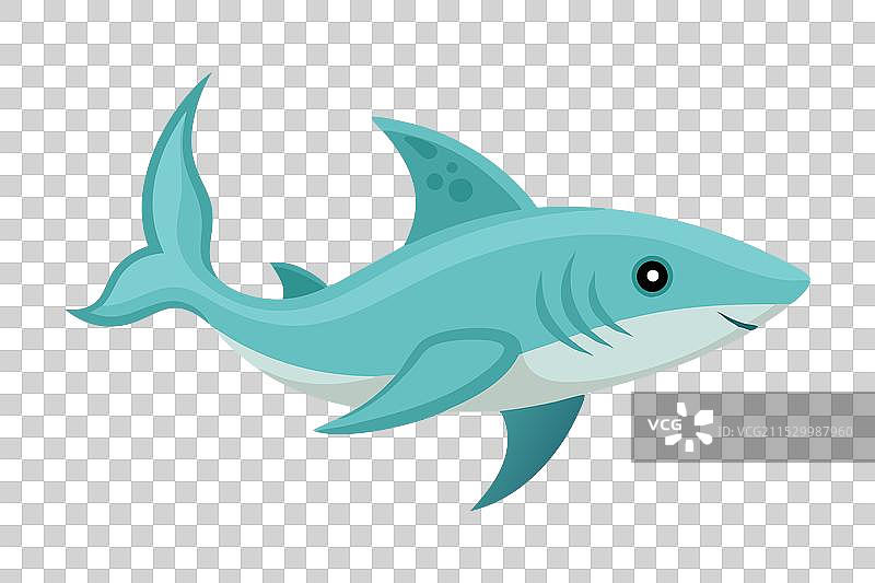 水下动物扁平的幽灵鲨图片素材