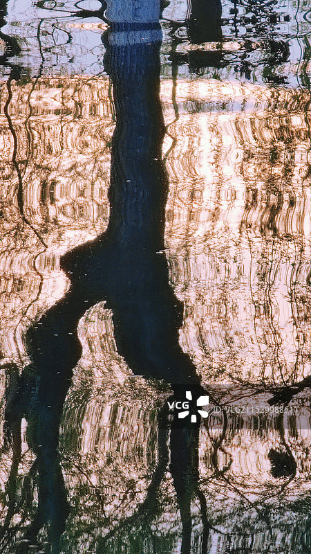 树在水中的倒影图片素材