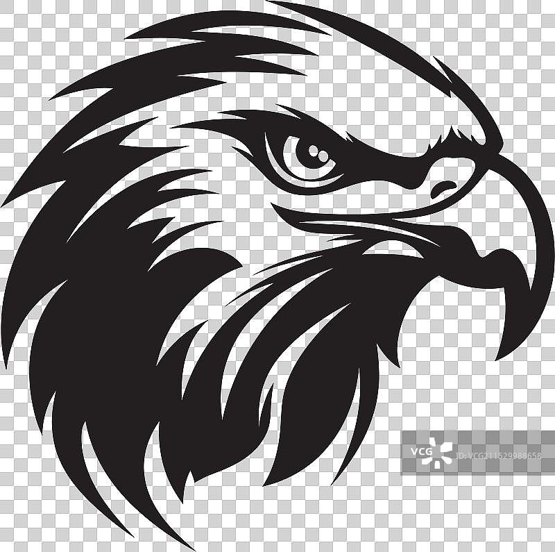 雄伟的猛禽黑鹰徽章空中视角图片素材