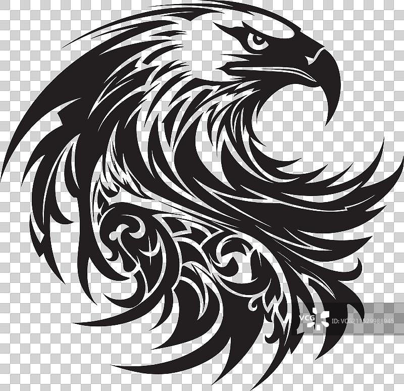 威风凛凛的黑鹰，尊贵的猛禽图片素材