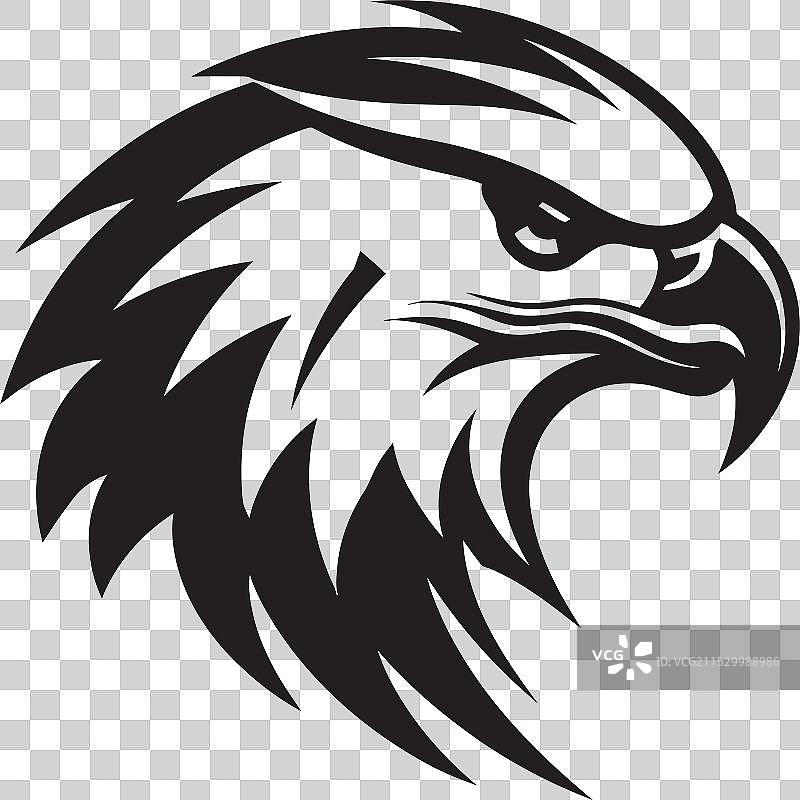 翅膀优雅的黑鹰在空中展现威严图片素材