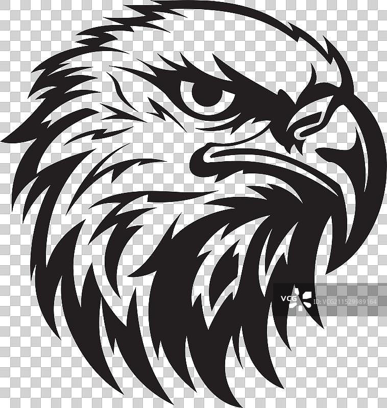 飞翔的优雅黑鹰象征羽毛图片素材