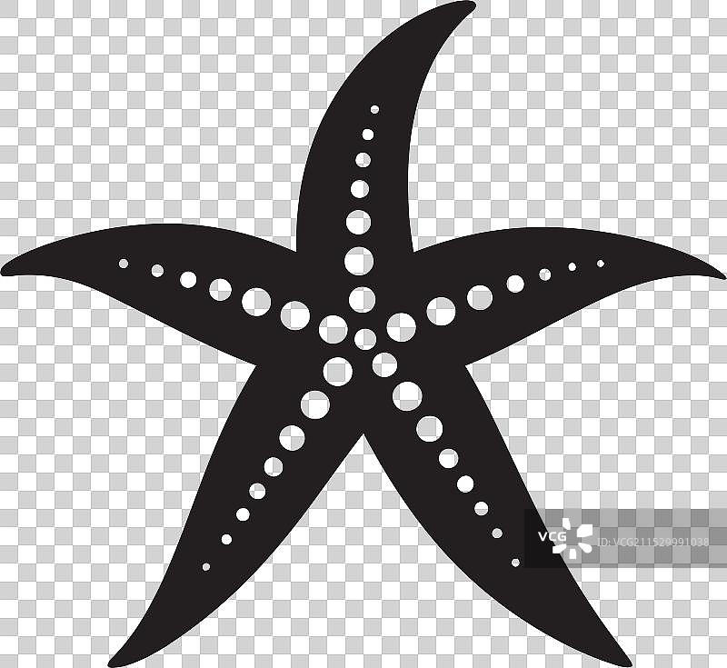 海底的乐趣，海星标志，海岸的壮丽图片素材