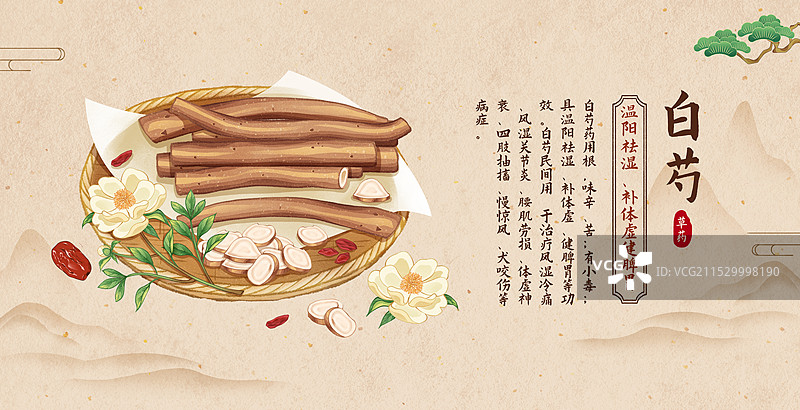 中国传统文化中医养生中草药药材医疗用品之白芍海报图片素材