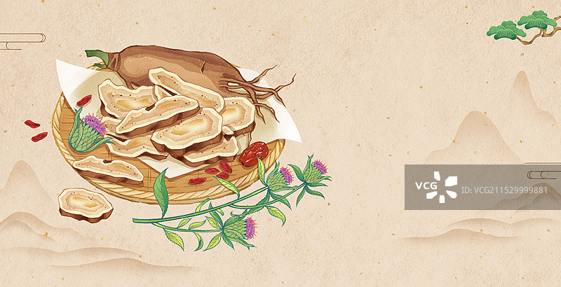 中国传统文化中医养生中草药药材之白术插画图片素材