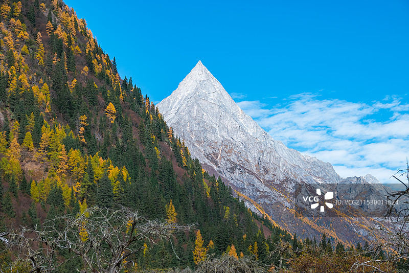 四姑娘山长坪沟秋季风光图片素材